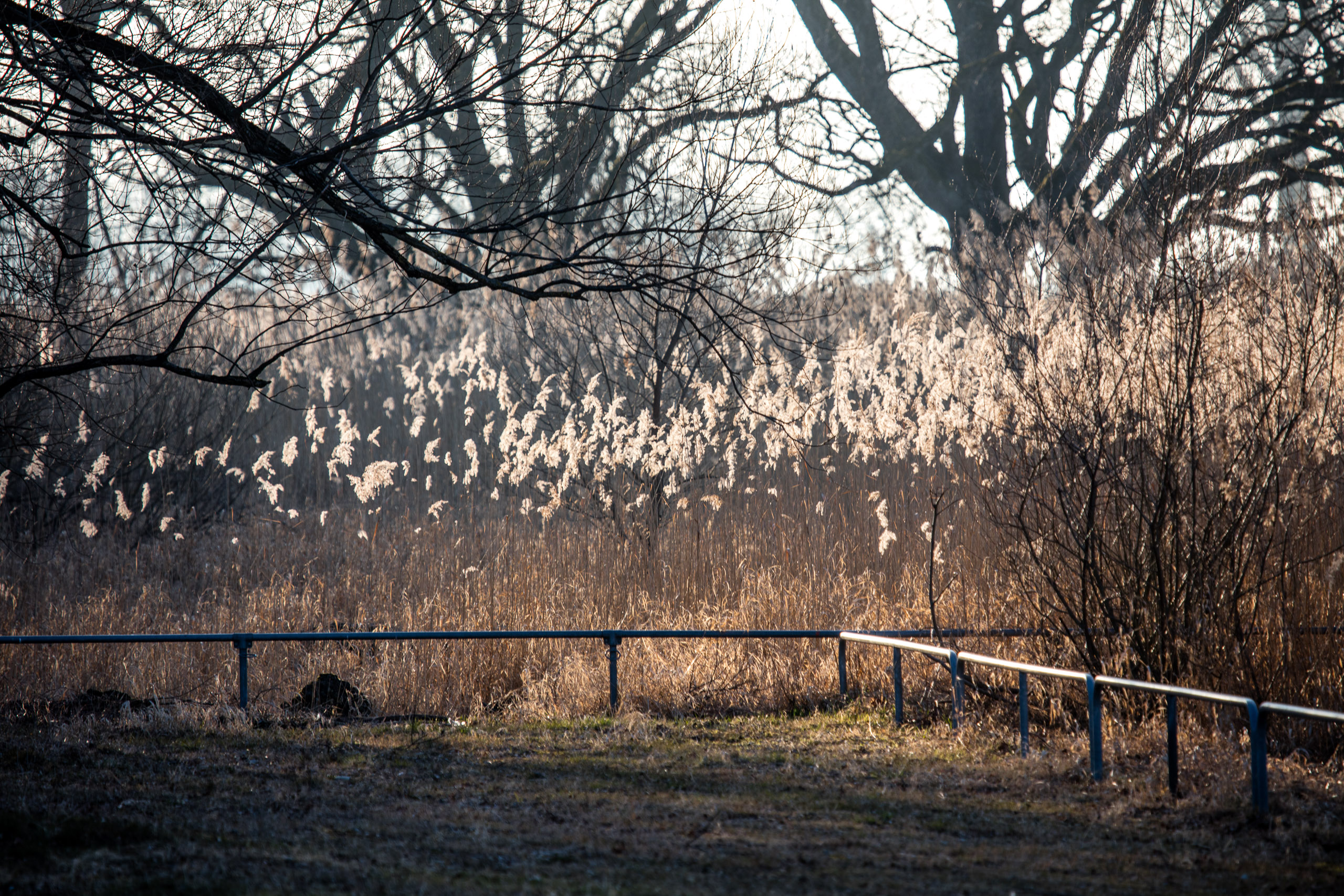 20160319172830 DP017775